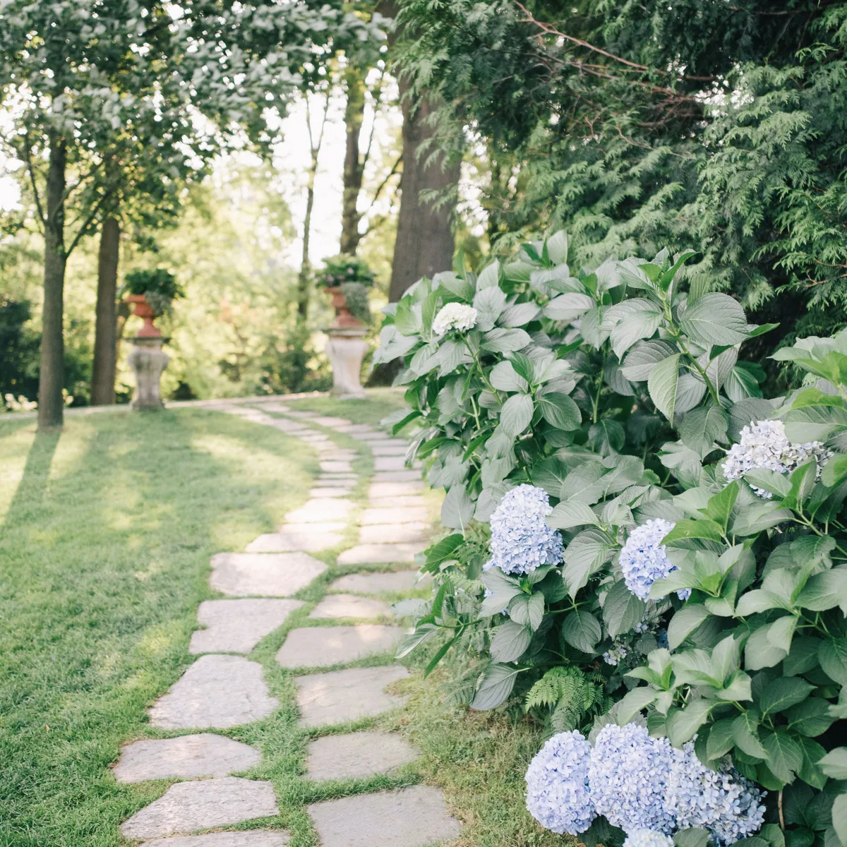 Jardín con césped, vegetación frondosa y un sendero